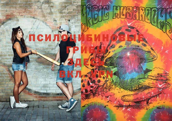 таблы Белокуриха