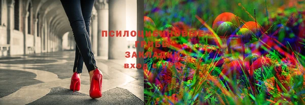 эйфоретик Балахна