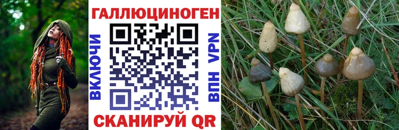 Купить закладки  Дальнереченск  Псилоцибиновые грибы прущие грибы 